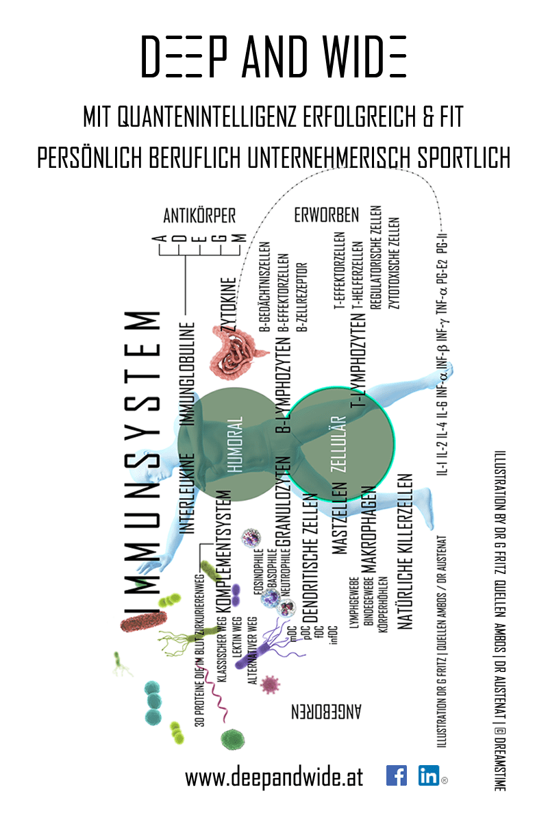 Dein Immunsystem